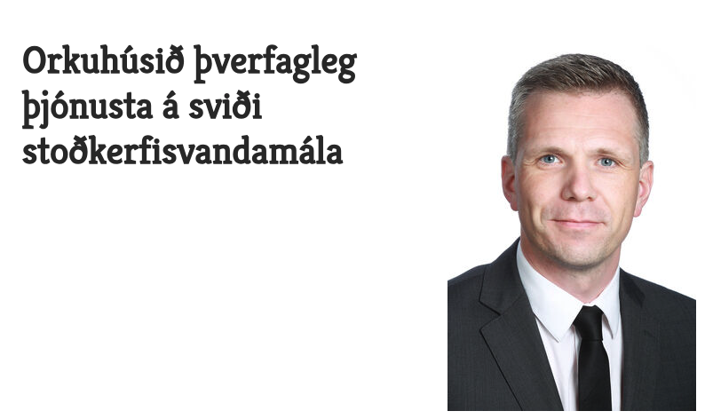 Orkuhúsið í Læknablaðinu