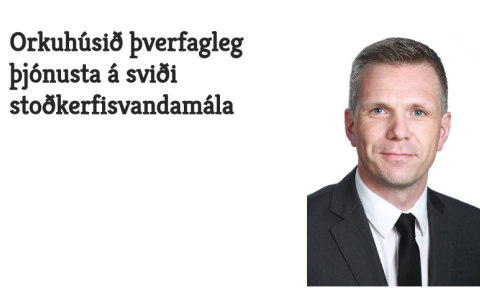 Orkuhúsið í Læknablaðinu